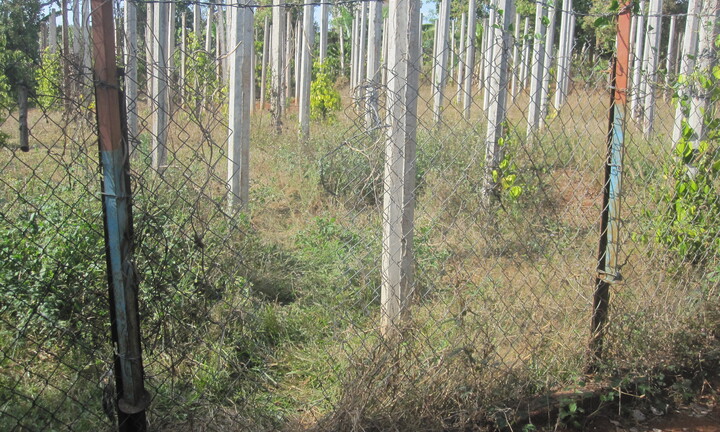 Vụ thảm sát tại Gia Lai: Tìm thấy hung khí gây án ở hiện trường