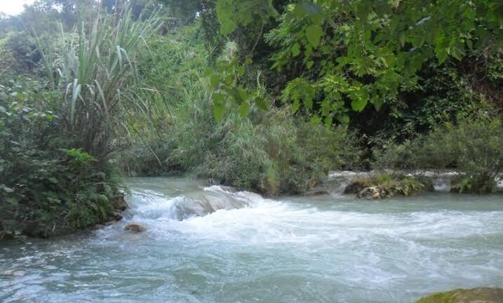 Độc đáo món canh chua “bubu chacha” của người Mường xứ Thanh