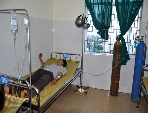 Sau ĐBSCL, rắn lục đuôi đỏ lại “hoành hành” tại miền Trung