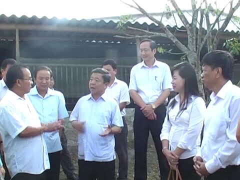 Trăn trở của cựu giáo viên làm kinh tế trang trại