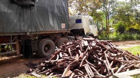 Quảng Trị: Liên tiếp bắt giữ 2 xe vận chuyển gỗ trắc trái phép