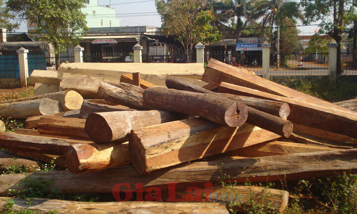 Gia Lai: Thu giữ gần 40 lóng gỗ trái phép