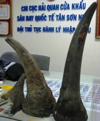 Bắt giữ sừng tê giác 15 tỷ  "nhập cảnh " vào sân bay Tân Sơn Nhất