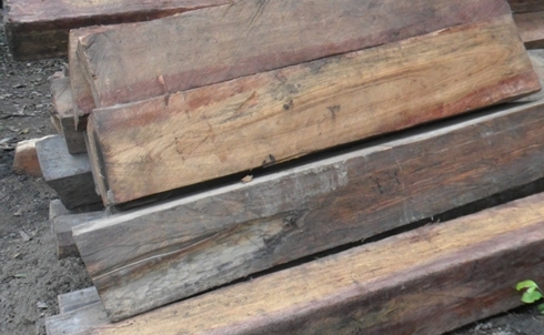 Khánh Hòa: Phát hiện bãi tập kết với hơn 100 khúc gỗ quý