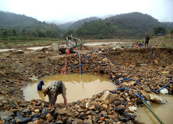  “Vàng tặc” đại náo Quế Phong