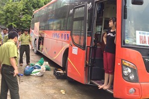 Phát hiện 30 cá thể tê tê, rùa quý giấu trên xe khách