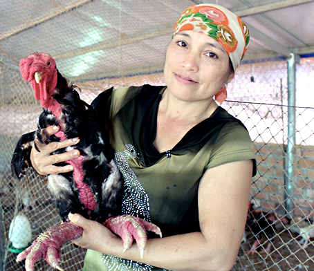 Gà Đông Tảo “sốt” giá dịp cuối năm