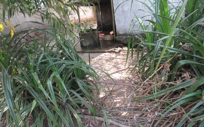 Cuộc sống tách biệt hàng chục năm của 3 người phụ nữ nghèo