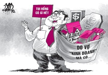 Cần truy thu tài sản của người khai báo gian dối