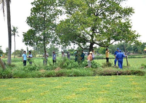 Xác chết bí ẩn dưới hồ trồng rau nhút