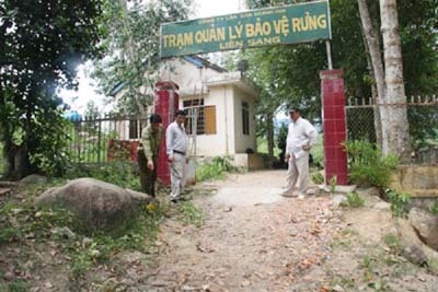 Trạm trưởng bảo vệ rừng kể lại đêm kinh hoàng bị truy sát