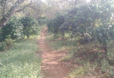 Chồng hờ nhiều lần trói con gái người tình để cưỡng hiếp