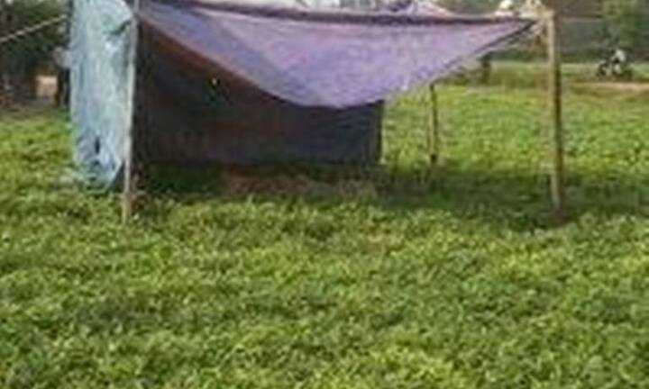 Hà Tĩnh: Phát hiện xác nam thanh niên chết trong vườn lạc