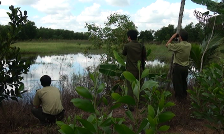 Đồng Nai: Chưa tìm kiếm được cá sấu sổng ra hồ Trị An