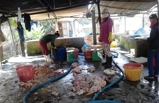 Đồng Nai: Phát hiện cơ sở sản xuất thịt gà thối