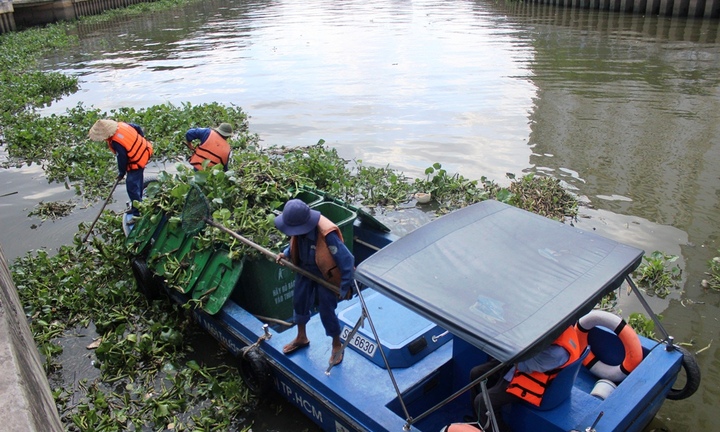 TP.HCM: Cá chết hàng loạt trên kênh Nhiêu Lộc- Thị Nghè
