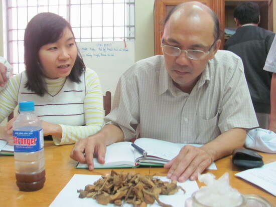 2 người tử vong sau uống rượu: Rượu ngâm rễ cây lá ngón