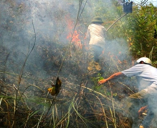Dân thắp nhang viếng mộ, núi Ngự Bình cháy dữ dội
