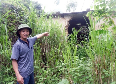 Nước nhiễm thuốc trừ sâu, cả làng 