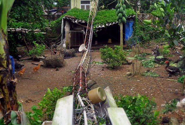 Bão số 3 quật đổ cột tháp truyền hình cao 35m 