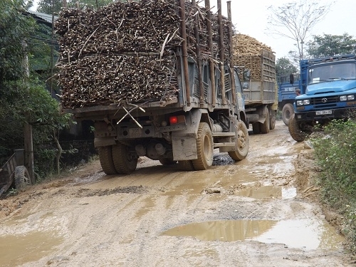 Xe quá tải trên 200\%: Chủ xe, lái xe sẽ bị khởi tố?