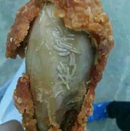Kinh hãi gà rán KFC lúc nhúc đầy dòi