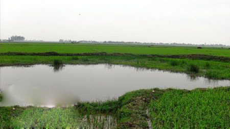 Kỳ bí chuyện giếng bị yểm bùa và sự tồn vong cả dòng họ