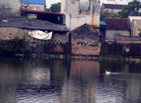 Cha ném con 17 tháng xuống ao vì cãi nhau với vợ