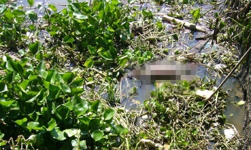 Phát hiện thi thể nam giới khỏa thân ở cánh đồng