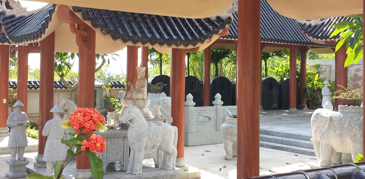 Ngỡ ngàng những 