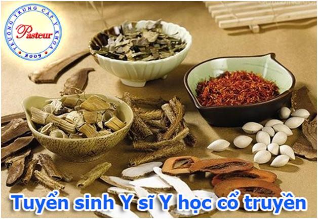 Học Y sĩ định hướng Y học cổ truyền có thể làm việc gì?