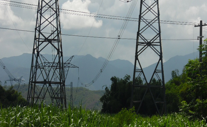 Sự thật về tin đồn cụ già bị thú rừng ăn thịt rúng động xứ Quảng