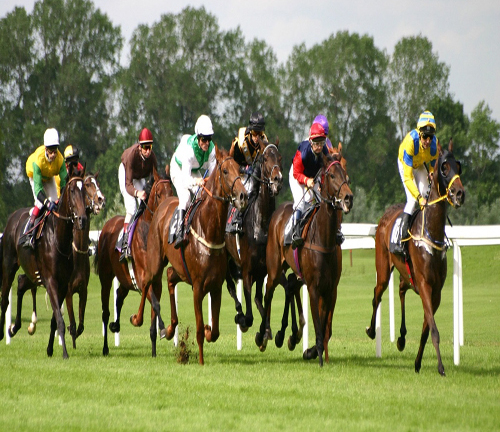 Đại gia xây trường đua ngựa trăm triệu USD: Hệ lụy khó lường