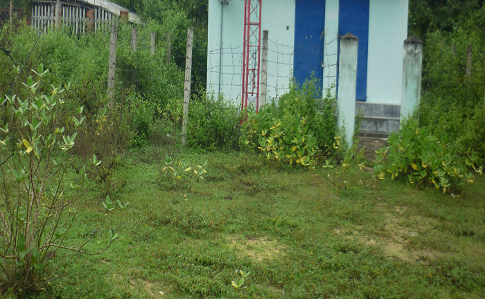 Điều tra kẻ cả gan chém công an xã truy sát nhân viên Mobifone