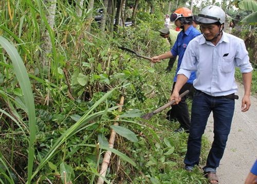 Thực hư tin đồn “thần dược” rắn lục đuôi đỏ trị bách bệnh