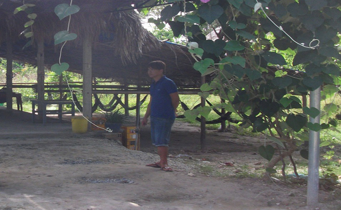 Nữ sinh mới lớn bị chồng hờ truy sát chấn động Tây Ninh