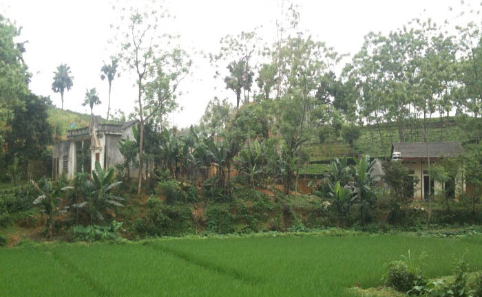 Nghịch tử sát hại bố vì nghi ngờ nạn nhân từng “gạ gẫm” con dâu?