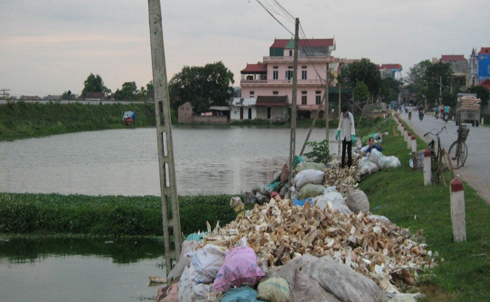 Giải mã căn bệnh trâu “báo oán” ở làng “đồ tể”