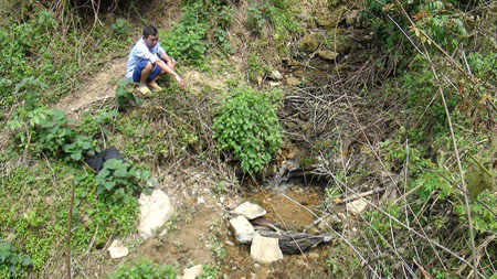 Chuyện về rắn lạ