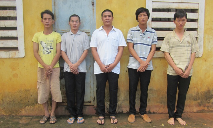 Táo tợn cưa trộm gỗ quý ngay tại vườn nhà dân