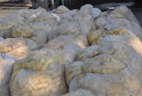 TP.HCM: Phát hiện 43 tấn măng ngâm hóa chất kịch độc