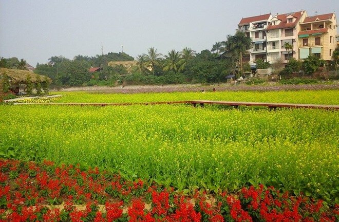 Thu hàng chục triệu đồng/ngày nhờ kinh doanh hoa ven Hồ Tây
