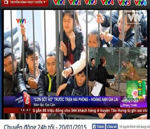 VTV 24h gây “sốc” khi so sánh cổ động viên với... “hổ đói”