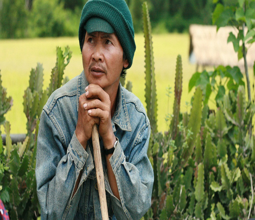 Kỳ lạ tục lá cây giữ cửa khiến kẻ lạ mặt không dám xâm phạm