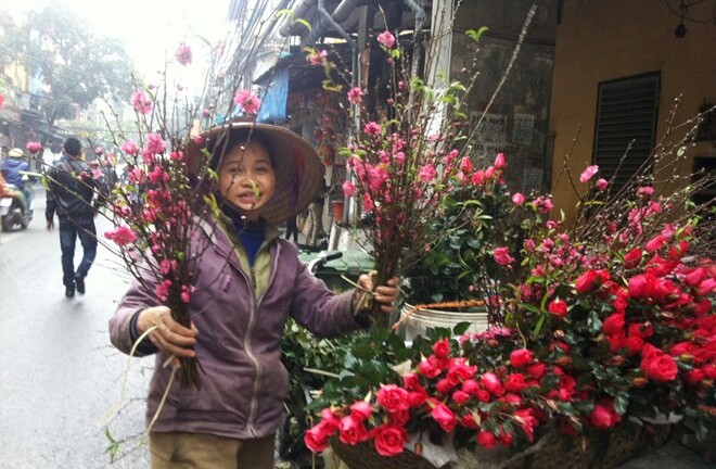 Đào Nhật Tân nở sớm giá 35.000 đồng/bó