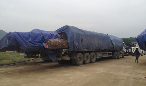 Bắt 45 xe chở gỗ quá tải ở cửa khẩu Cầu Treo