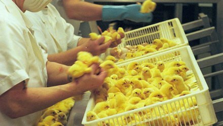 Công việc lương tiền tỷ vẫn ít người muốn làm