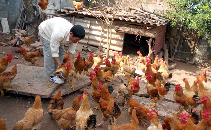 Kinh hãi thực phẩm bẩn, nông dân