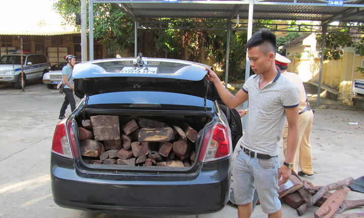 Bắt xe vận chuyển gỗ trắc trái phép