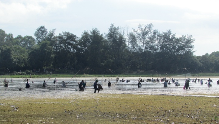 Háo hức với ngày hội 